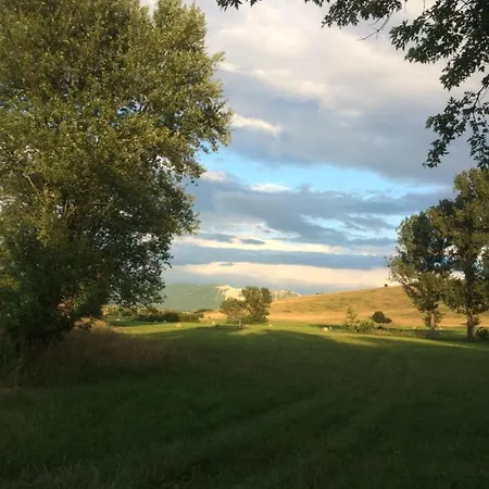 Falubiro Vendeghaza Bed and Breakfast 3*