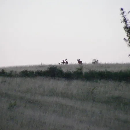 Falubiro Vendeghaza 3*