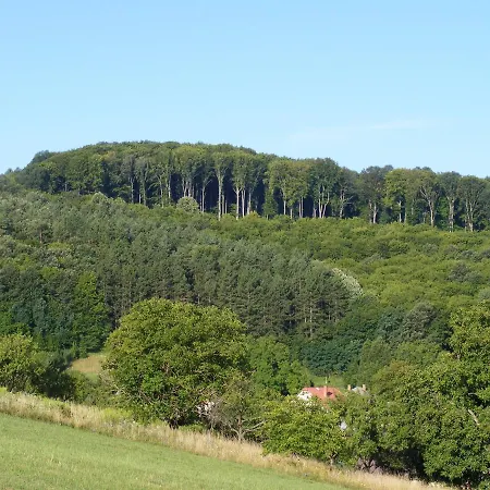 Falubiro Vendeghaza 3* Bekolce