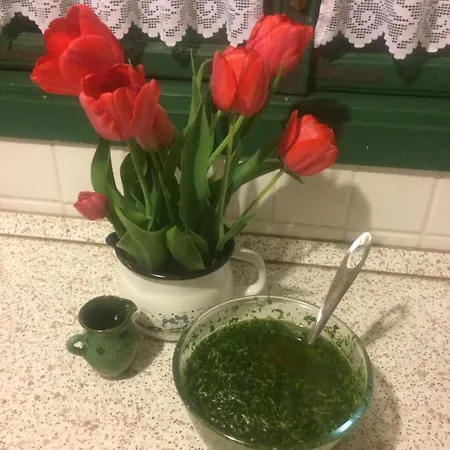 Bed and Breakfast Falubiro Vendeghaza