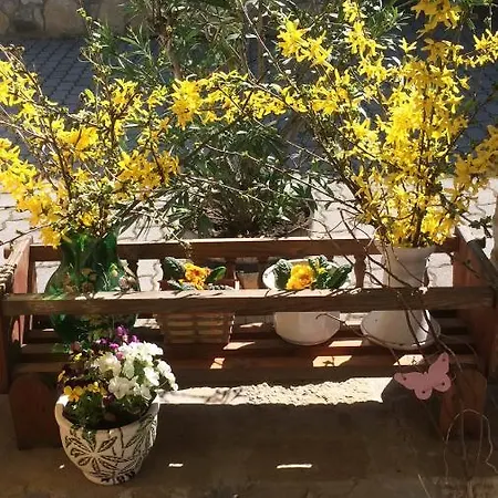 Bed & Breakfast Falubiro Vendeghaza *
