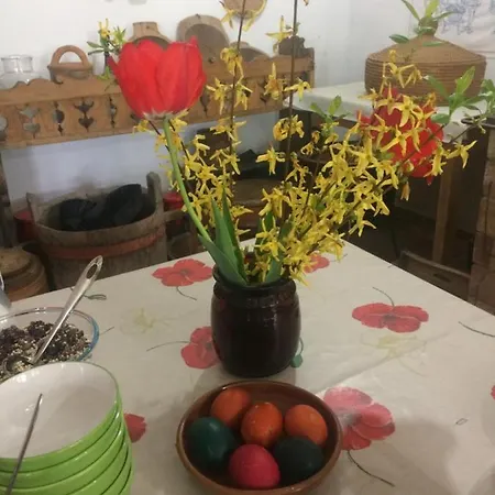 Falubiro Vendeghaza Bed and Breakfast 3*