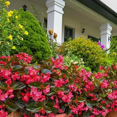 Falubiro Vendeghaza Bekolce