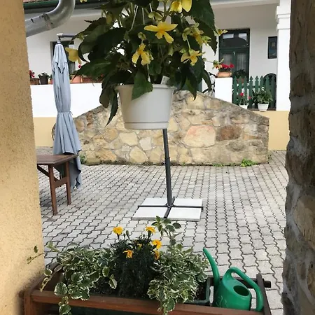 Bed and Breakfast Falubiro Vendeghaza 3*