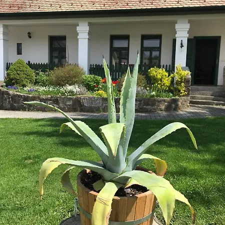 Falubiro Vendeghaza 3*