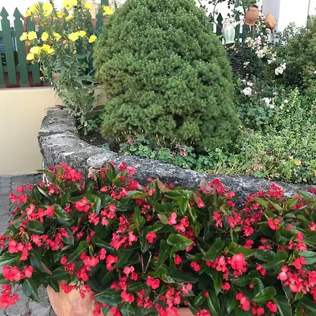 Falubiro Vendeghaza Bed and Breakfast Bekolce