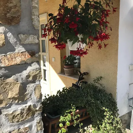 Falubíró Vendégháza Bed & Breakfast *