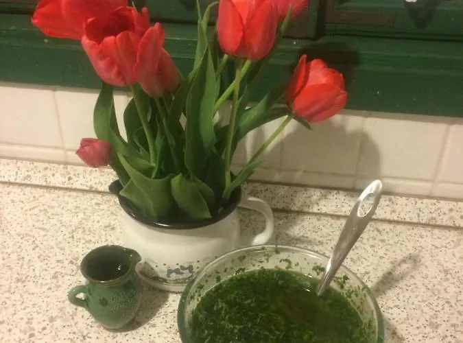 Nocleg ze śniadaniem Falubiro Vendeghaza