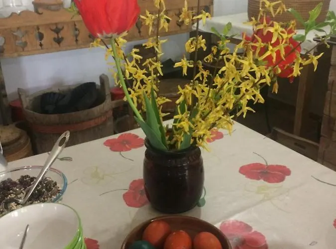 Falubiro Vendeghaza Nocleg ze śniadaniem 3*