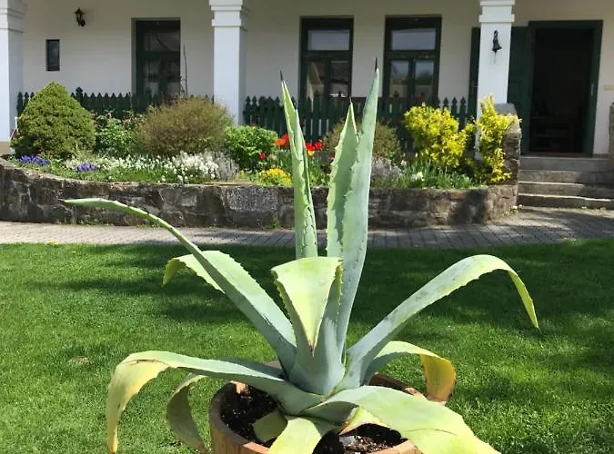 Falubiro Vendeghaza 3*